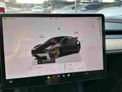 Tesla Model 3 Rear-Wheel Drive - ფოტო 10