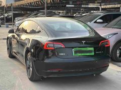 Tesla Model 3 Rear-Wheel Drive - ფოტო 3