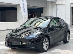 Tesla Model Y Standard Range RWD - ფოტო 1