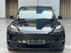Tesla Model Y Standard Range RWD - ფოტო 2