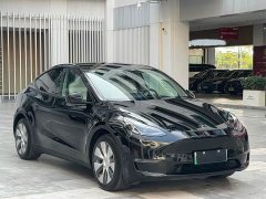 Tesla Model Y Standard Range RWD - ფოტო 3