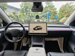 Tesla Model Y Rear-Wheel Drive - ფოტო 10