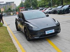Tesla Model Y Rear-Wheel Drive - ფოტო 2