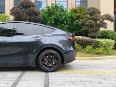 Tesla Model Y Rear-Wheel Drive - ფოტო 5