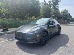 Tesla Model Y Rear-Wheel Drive - ფოტო 1
