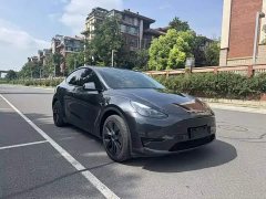 Tesla Model Y Rear-Wheel Drive - ფოტო 3