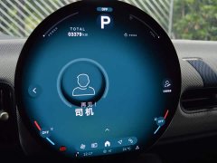 BMW MINI 2.0T COOPER S Artist 3-Door - ფოტო 9