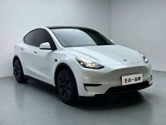 Tesla Model Y 2023 Rear-Wheel Drive - ფოტო 2