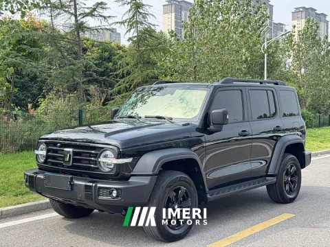 2025 Tank 300 2.0T Gasoline Conqueror - ავტომობილი ჩინეთიდან