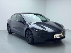 Tesla Model 3 2023 Rear-Wheel Drive - ფოტო 3