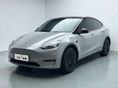 Tesla Model Y 2021 Standard Range RWD - ფოტო 1