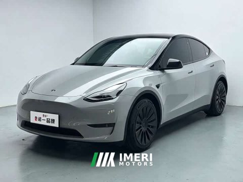 2022 Tesla Model Y 2021 Standard Range RWD - ავტომობილი ჩინეთიდან