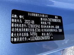 Neta V 2022 Tide 300 Industry Edition - ფოტო 6