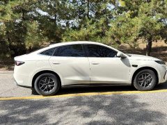 BYD Dolphin 06 DM-i Smart Drive Edition 80KM Luxury - ფოტო 2
