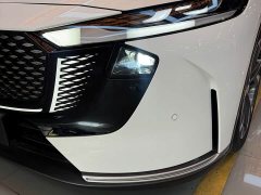 Mazda EZ-6 Extended Range 200 Pro - ფოტო 4