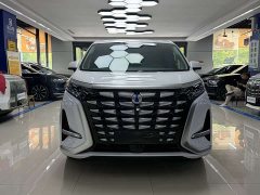 Denza BYD Denza D9 2022 DM-i 1040 Premium - ფოტო 2