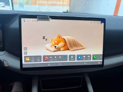 BYD Yuan UP Smart Drive 401KM Vitality Edition - ფოტო 14