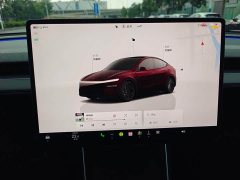 Tesla Model Y Rear-Wheel Drive - ფოტო 16
