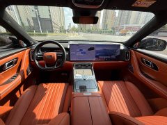 Geely Galaxy M9 2025 230km Two-Wheel Drive Explorer Edition - ფოტო 6