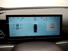 BYD Dolphin 06 DM-i Smart Drive 120KM Deluxe - ფოტო 10
