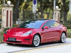Tesla Model 3 Facelift Standard Range RWD Upgrade 3D1 - ფოტო 1