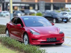 Tesla Model 3 Facelift Standard Range RWD Upgrade 3D1 - ფოტო 3