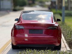 Tesla Model 3 Facelift Standard Range RWD Upgrade 3D1 - ფოტო 5