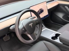 Tesla Model 3 Rear-Wheel Drive - ფოტო 11
