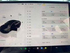 Tesla Model 3 Rear-Wheel Drive - ფოტო 13