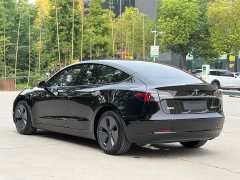 Tesla Model 3 Rear-Wheel Drive - ფოტო 9