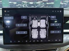 Denza BYD Denza D9 2024 DM-i 980 AWD Luxury - ფოტო 11