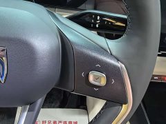 Buick Zhijing Shijia Luxury Edition - ფოტო 6