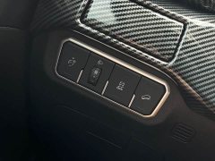 Tank 300 Off-Road Edition 2.0T Conqueror - ფოტო 11