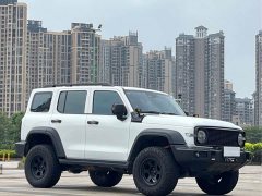 Tank 300 Off-Road Edition 2.0T Conqueror - ფოტო 3