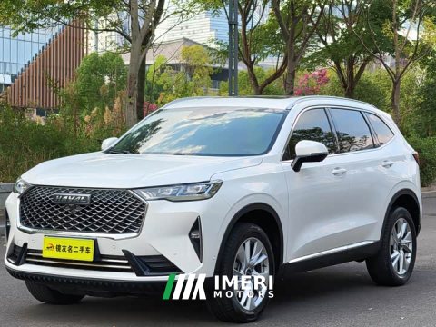 2021 Haval H6 Third Generation 1.5T Automatic Two-Wheel Drive Supreme - ავტომობილი ჩინეთიდან