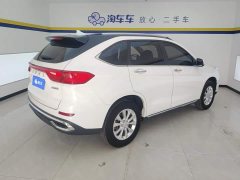 Haval M6 PLUS 1.5T Manual Luxury Smart Connected Edition - ფოტო 3