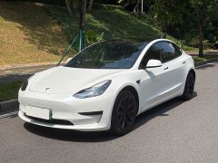 Tesla Model 3 2022 Rear-Wheel Drive - ფოტო 1