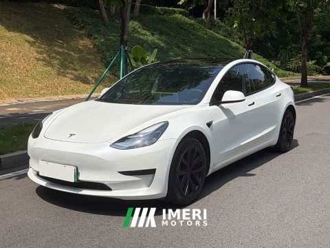 2023 Tesla Model 3 2022 Rear-Wheel Drive - ავტომობილი ჩინეთიდან