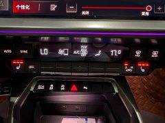 Audi A3 A3L Limousine 35 TFSI Luxury Sport - ფოტო 17