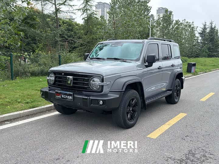 Tank 300 2021 Off-Road Edition 2.0T Conqueror - ავტომობილი ჩინეთიდან