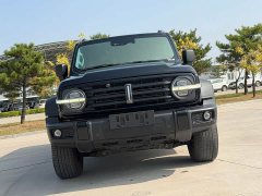 Tank 300 Off-Road Edition 2.0T Challenger - ფოტო 3