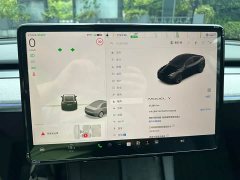 Tesla Model Y 2023 Rear-Wheel Drive - ფოტო 11