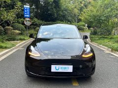 Tesla Model Y 2023 Rear-Wheel Drive - ფოტო 2