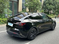 Tesla Model Y 2023 Rear-Wheel Drive - ფოტო 4