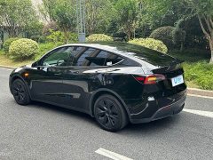 Tesla Model Y 2023 Rear-Wheel Drive - ფოტო 6
