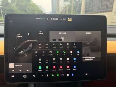 Tesla Model 3 Facelift Performance All-Wheel Drive 3D1 - ფოტო 14