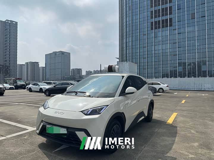 BYD Seagull 305km Vitality Edition - ავტომობილი ჩინეთიდან
