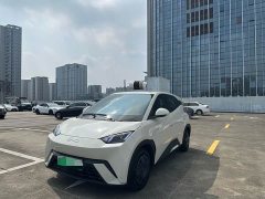 BYD Seagull 305km Vitality Edition - ფოტო 1