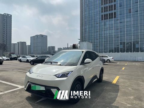 2025 BYD Seagull 305km Vitality Edition - ავტომობილი ჩინეთიდან