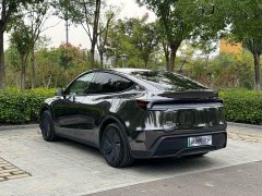 Tesla Model Y Rear-Wheel Drive Launch Edition - ფოტო 12